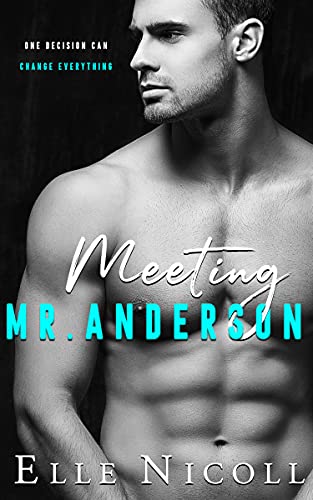 Meeting Mr Anderson (The Men Series Book 1)