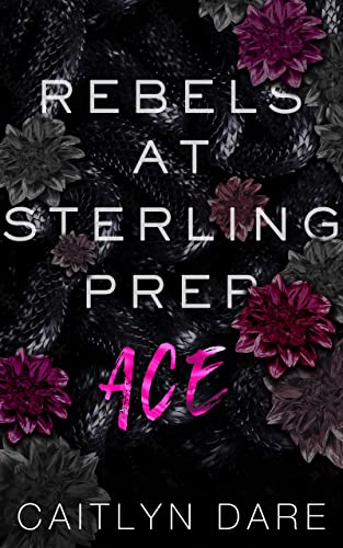 Ace (Rebels at Sterling Prep Duets Book 1)