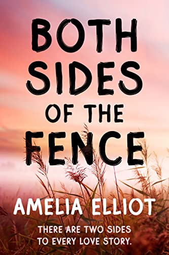 Both Sides of the Fence (Thunderstruck Book 1)