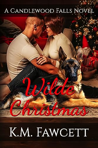 Wilde Christmas (Small Town Wilde Romance Book 2)