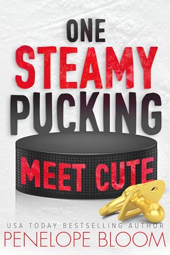 One Steamy Pucking Meet Cute (Frosty Harbor Book 3)